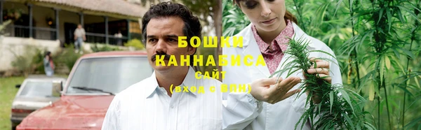 гашик Балахна