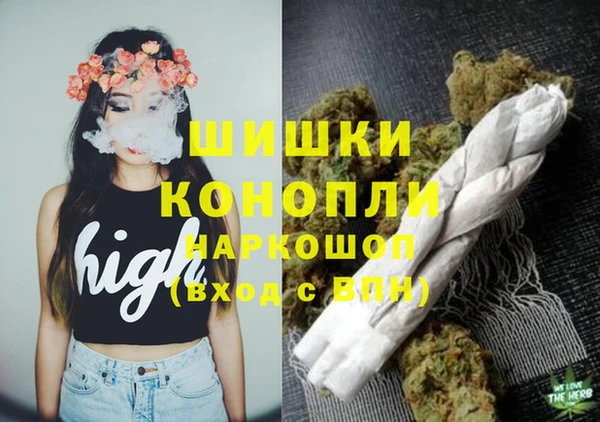гашик Балахна