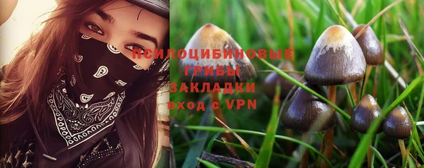 гашик Балахна