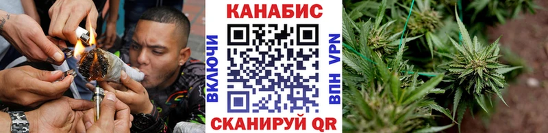 Каннабис индика  Балтийск 