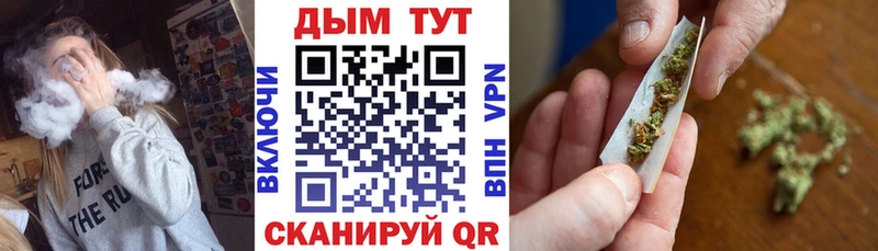 Конопля план Балтийск